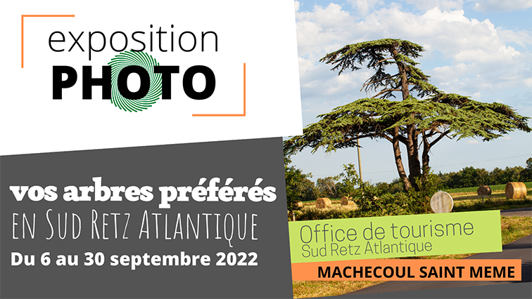 Exposition photo Vos arbres préférés en Sud Retz Atlantique