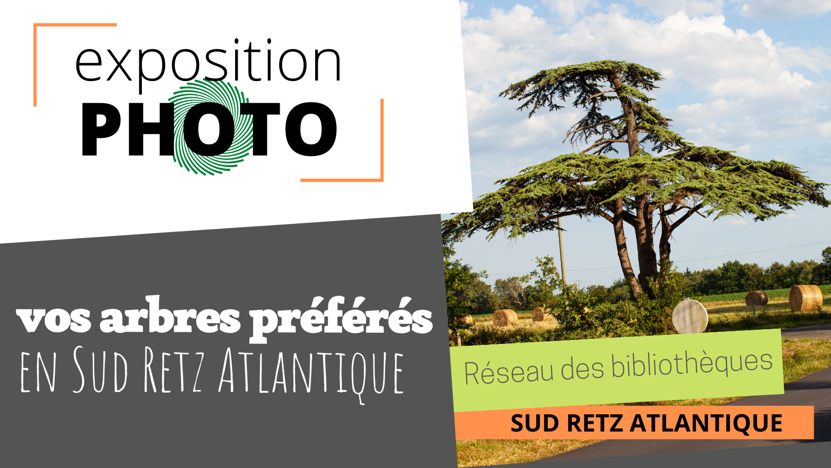 tournée expo arbres