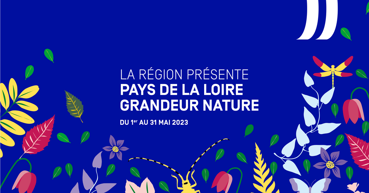 pays de la loire grandeur nature sud retz atlantique 2023