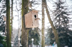 Apprendre à fabriquer un nichoir à oiseaux